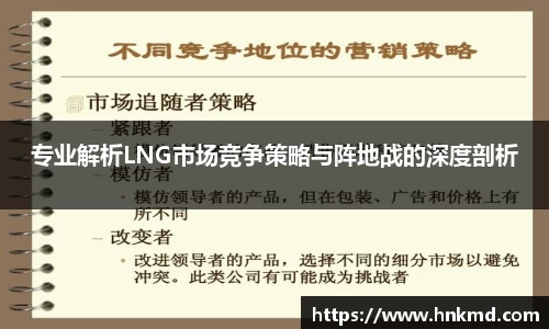 专业解析LNG市场竞争策略与阵地战的深度剖析